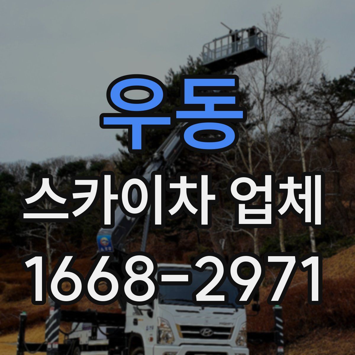 우동 스카이차 업체