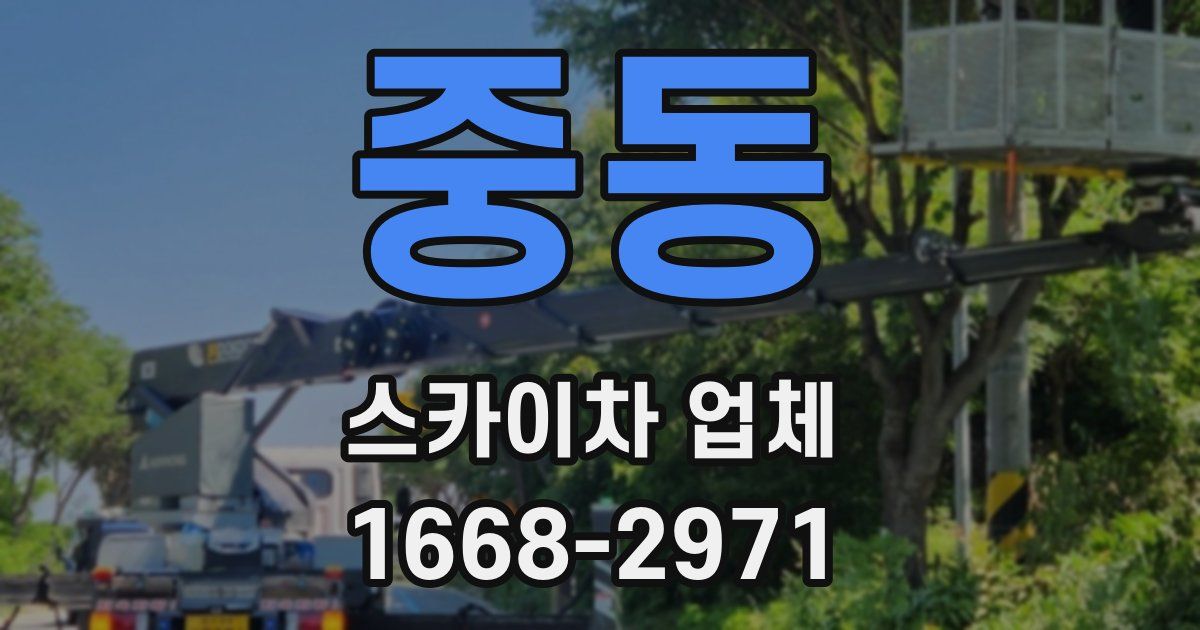 중동 스카이차 업체