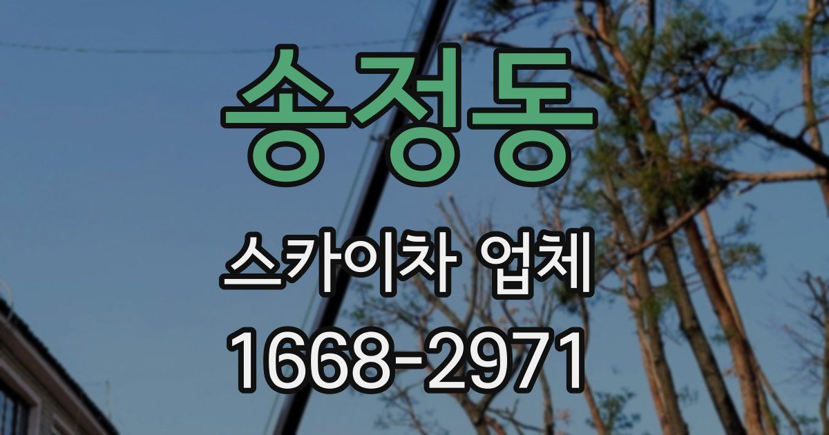 송정동 스카이차 업체
