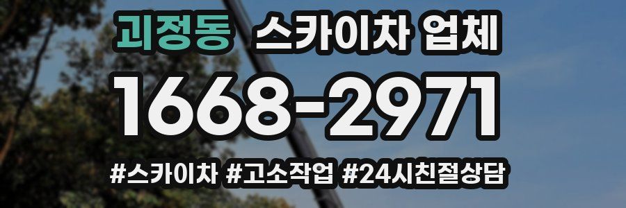 괴정동 스카이차 업체