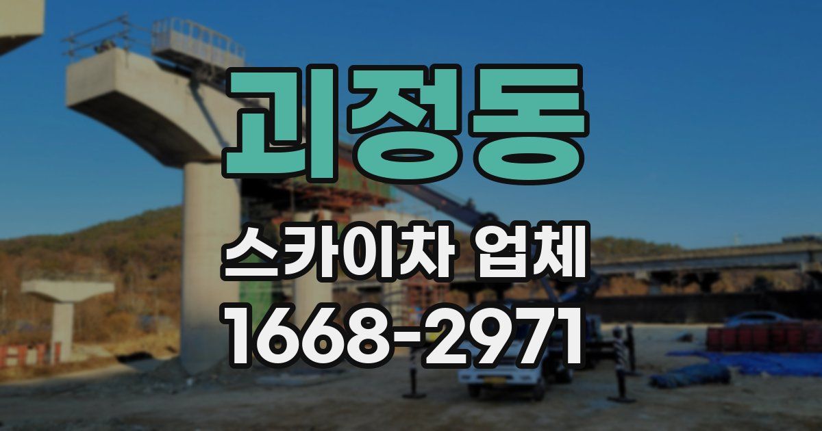 괴정동 스카이차 업체