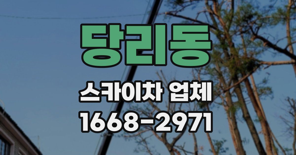 당리동 스카이차 업체