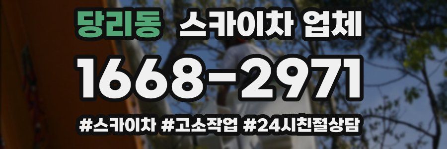 당리동 스카이차 업체