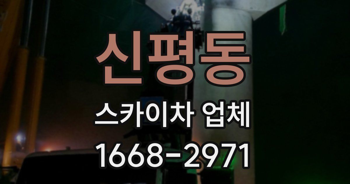 신평동 스카이차 업체