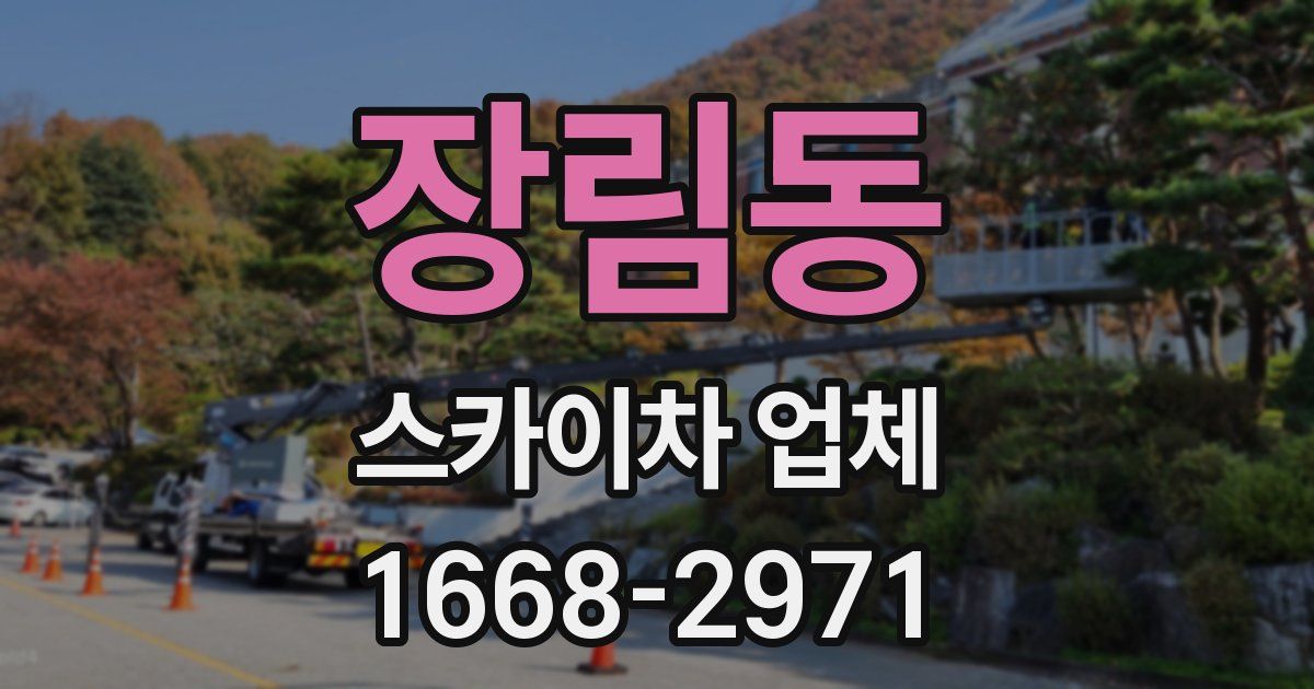 장림동 스카이차 업체