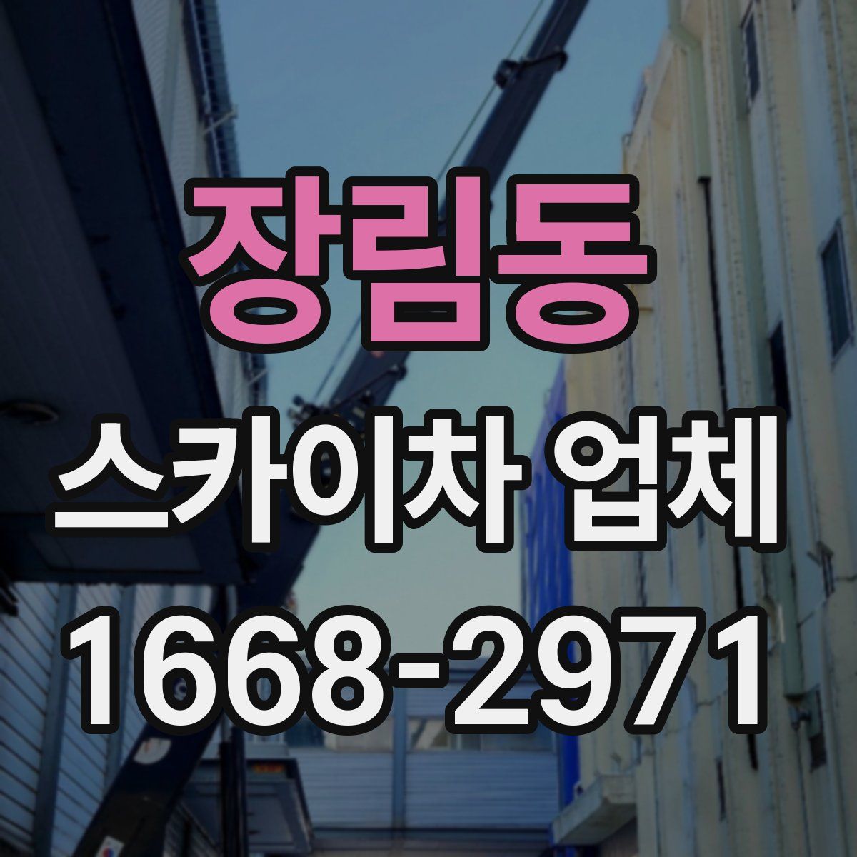 장림동 스카이차 업체