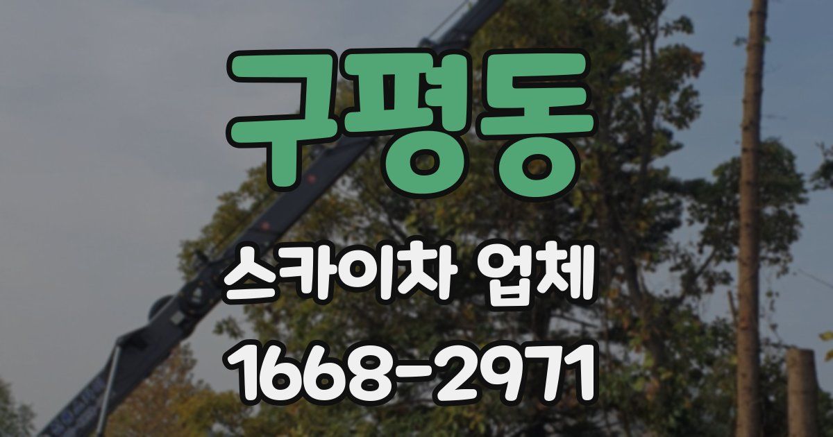 구평동 스카이차 업체