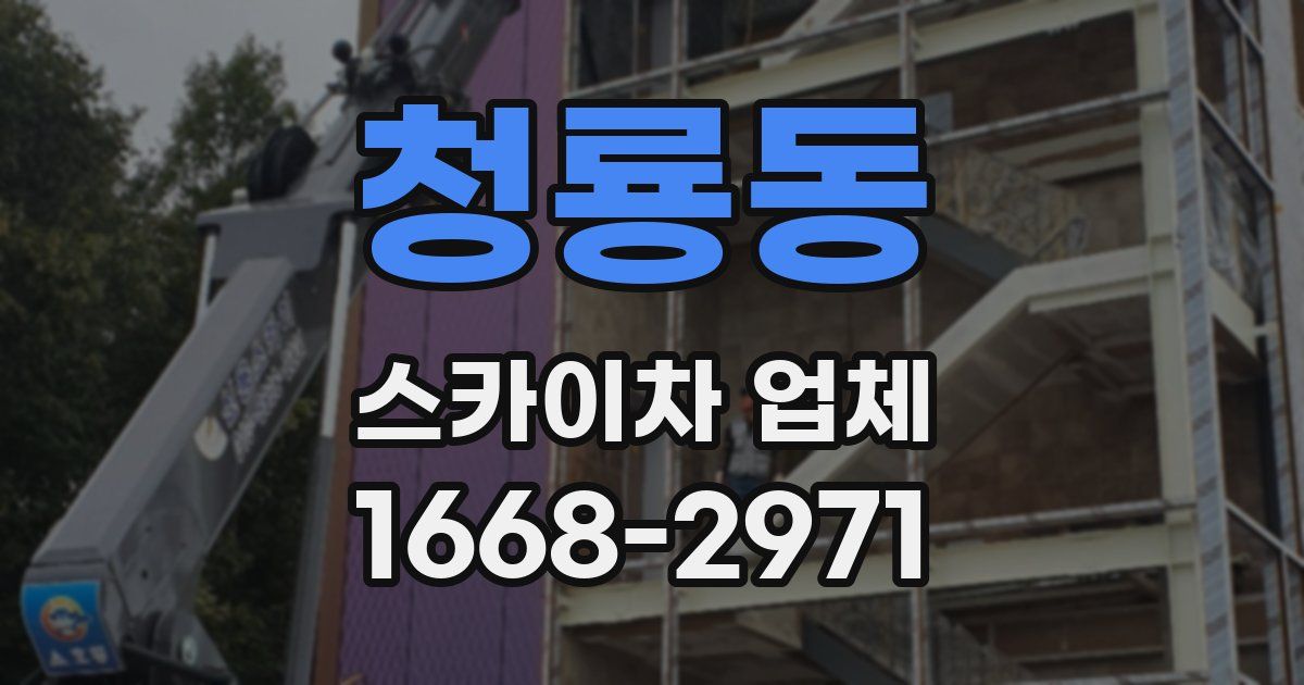청룡동 스카이차 업체