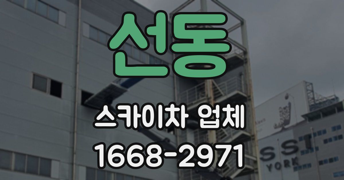 선동 스카이차 업체