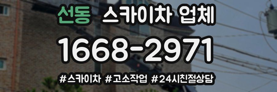 선동 스카이차 업체