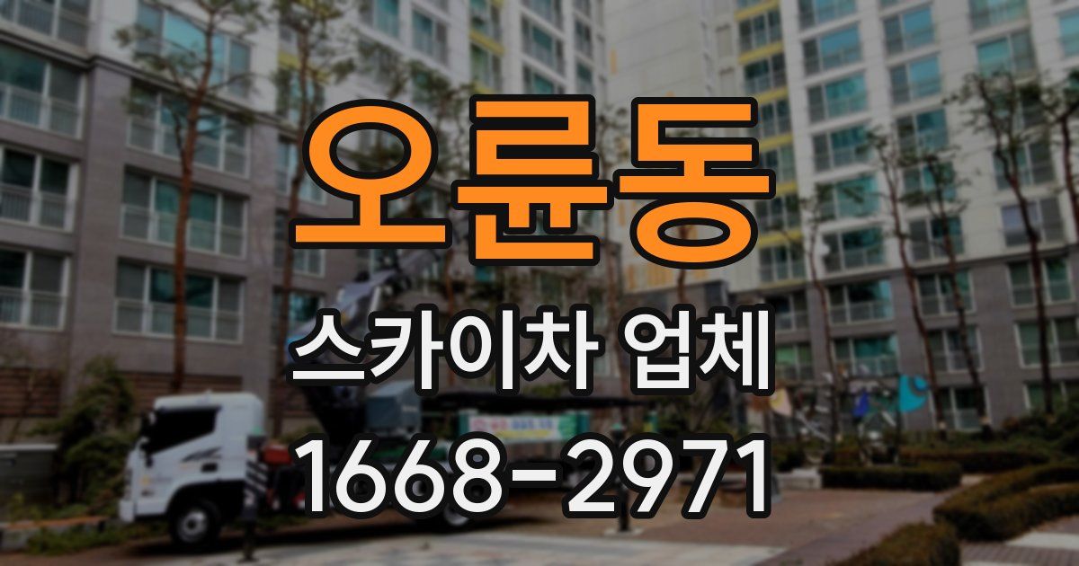 오륜동 스카이차 업체