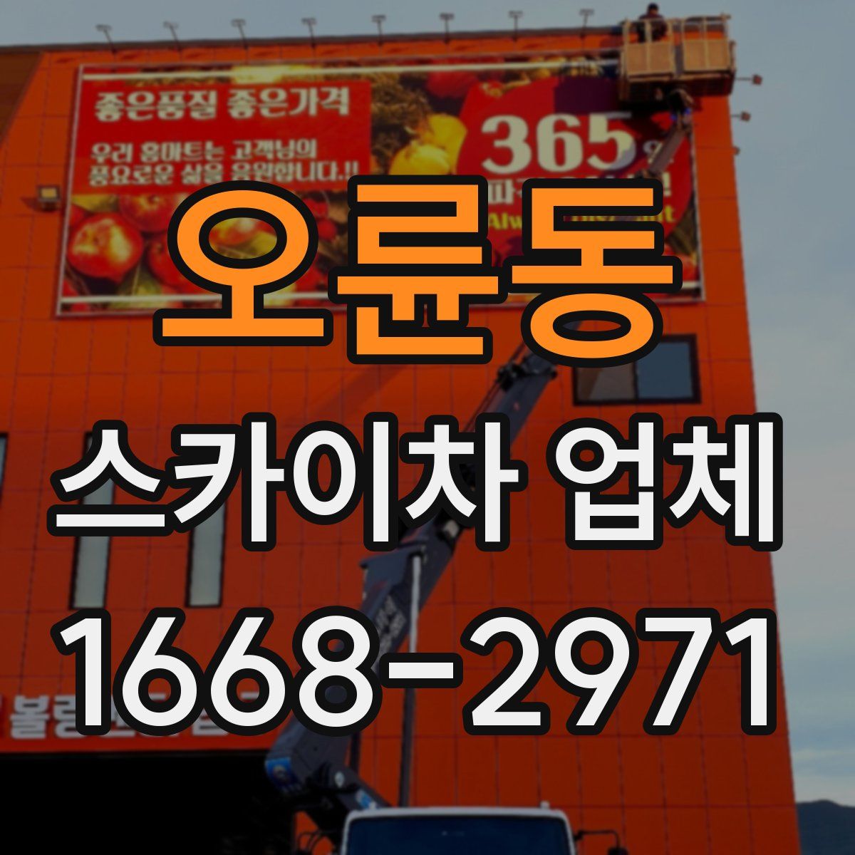 오륜동 스카이차 업체