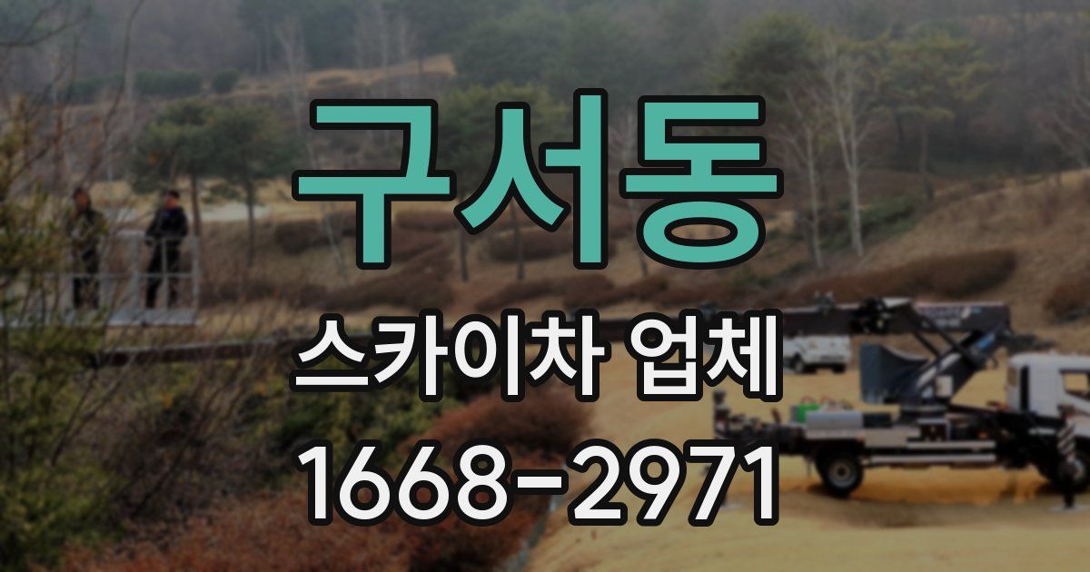 구서동 스카이차 업체