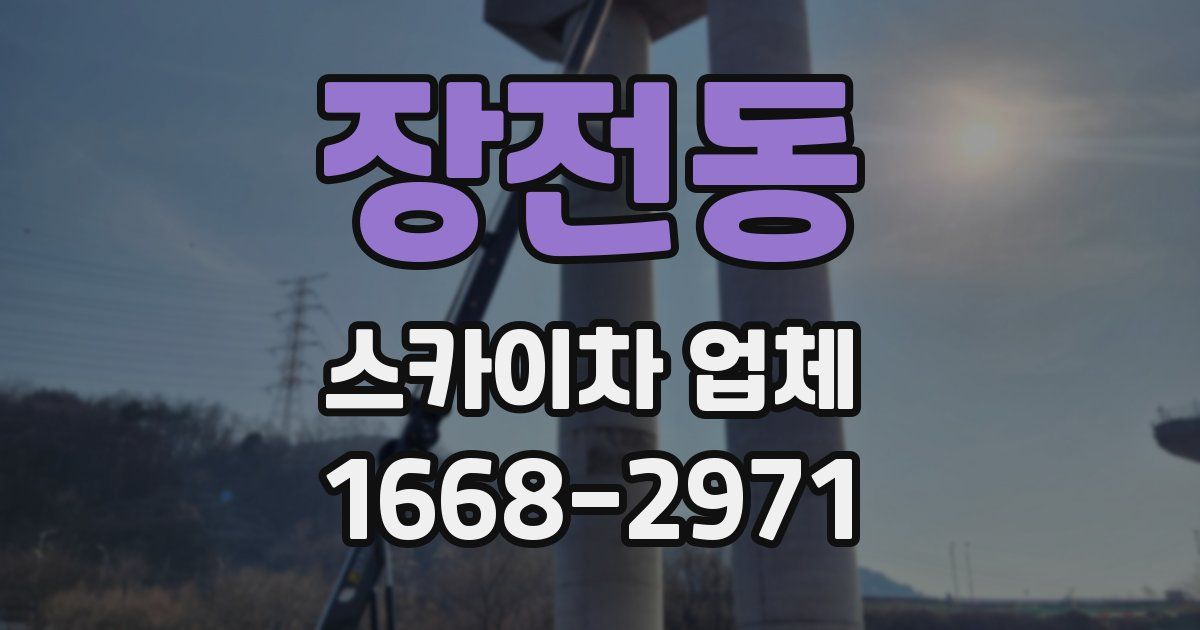 장전동 스카이차 업체