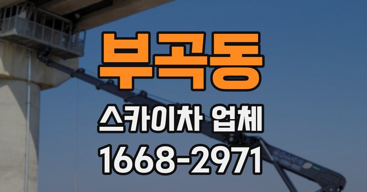 부곡동 스카이차 업체