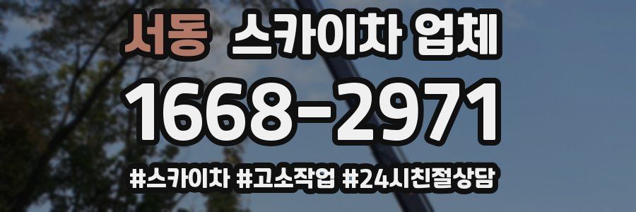 서동 스카이차 업체