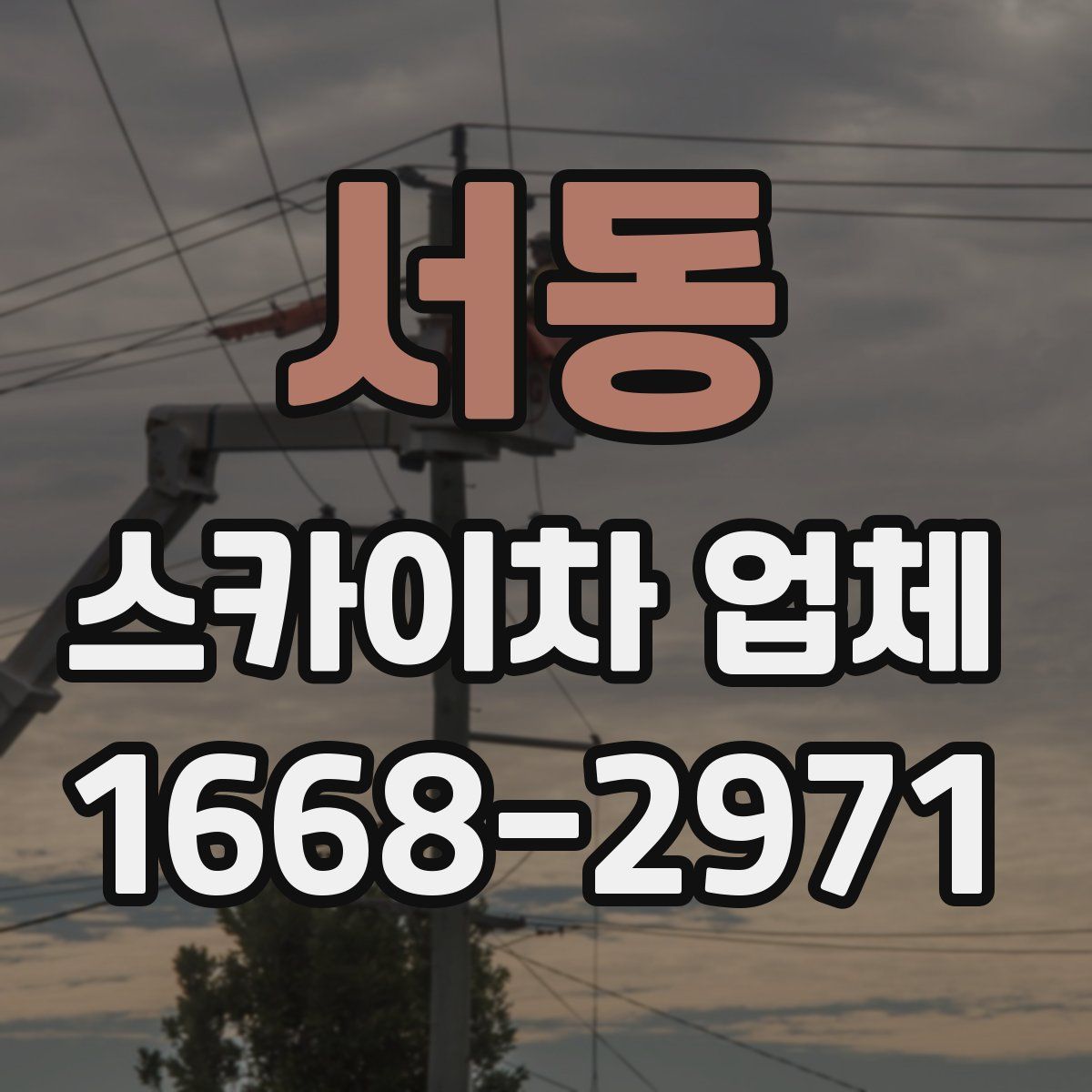 서동 스카이차 업체