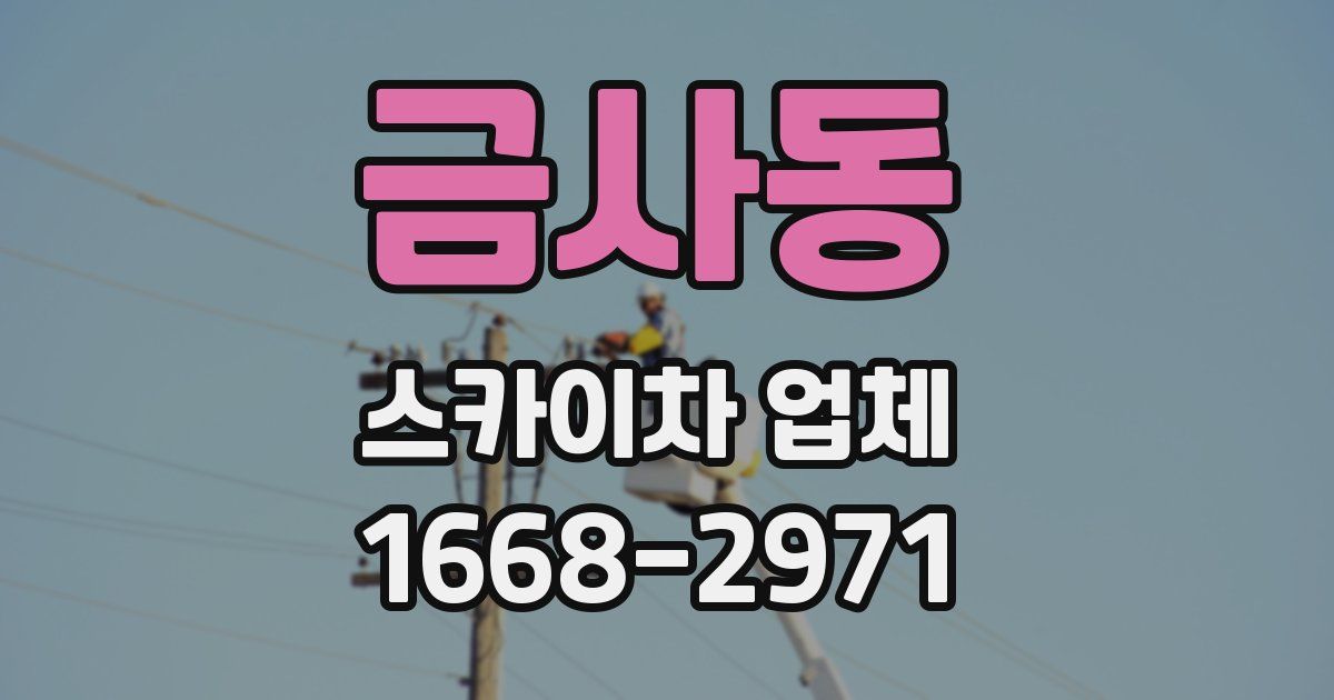 금사동 스카이차 업체