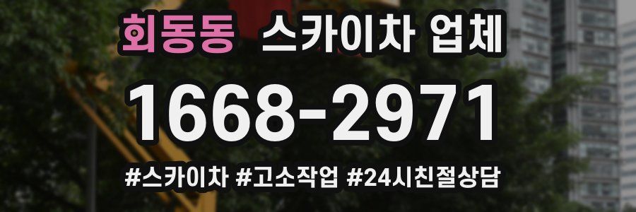 회동동 스카이차 업체