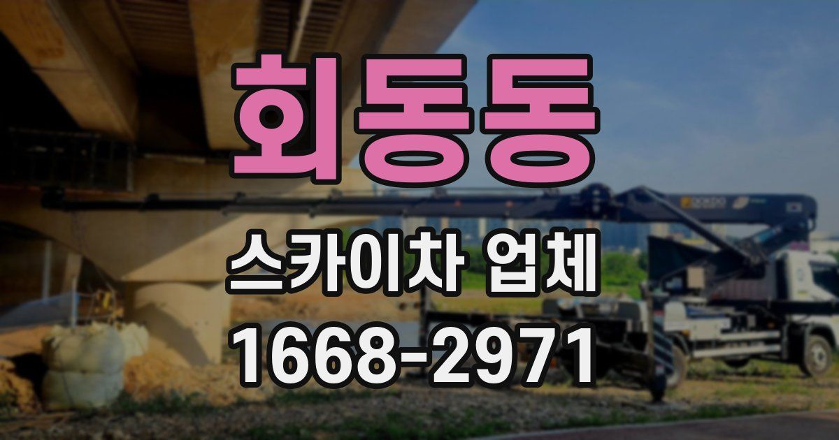 회동동 스카이차 업체
