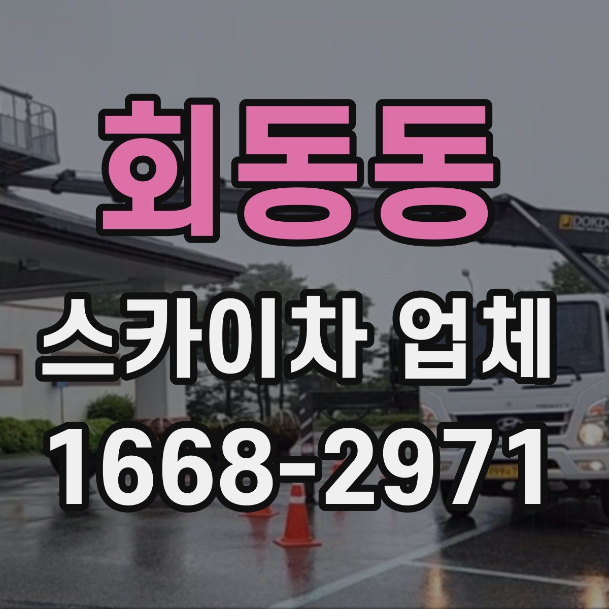 회동동 스카이차 업체