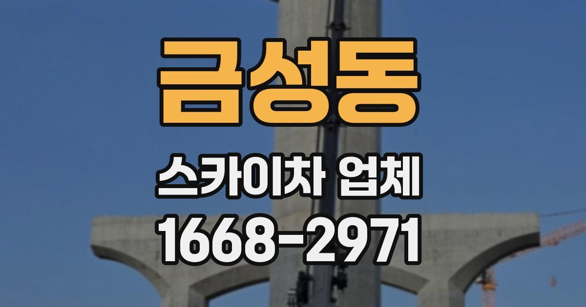 금성동 스카이차 업체