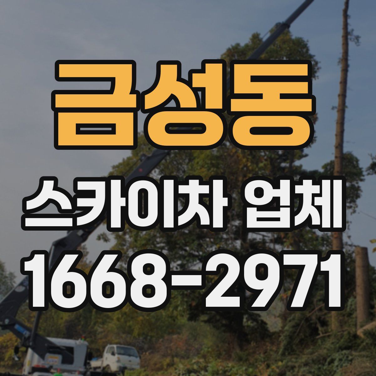 금성동 스카이차 업체