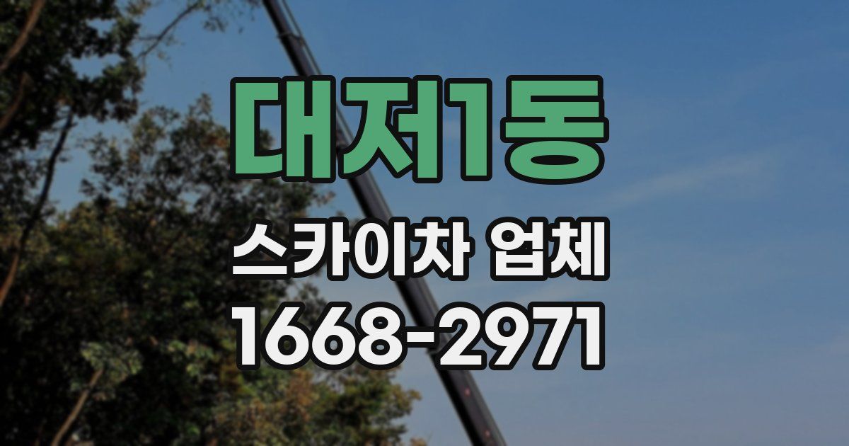 대저1동 스카이차 업체