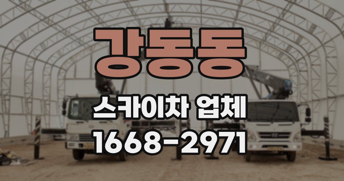 강동동 스카이차 업체