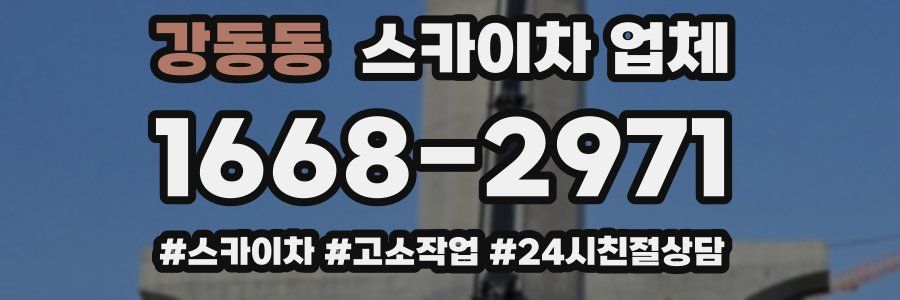 강동동 스카이차 업체