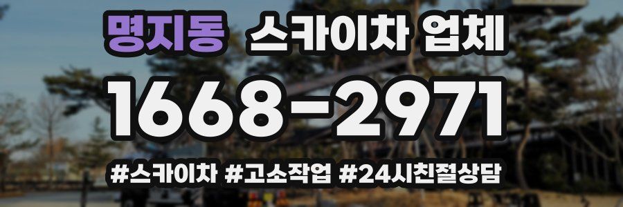 명지동 스카이차 업체