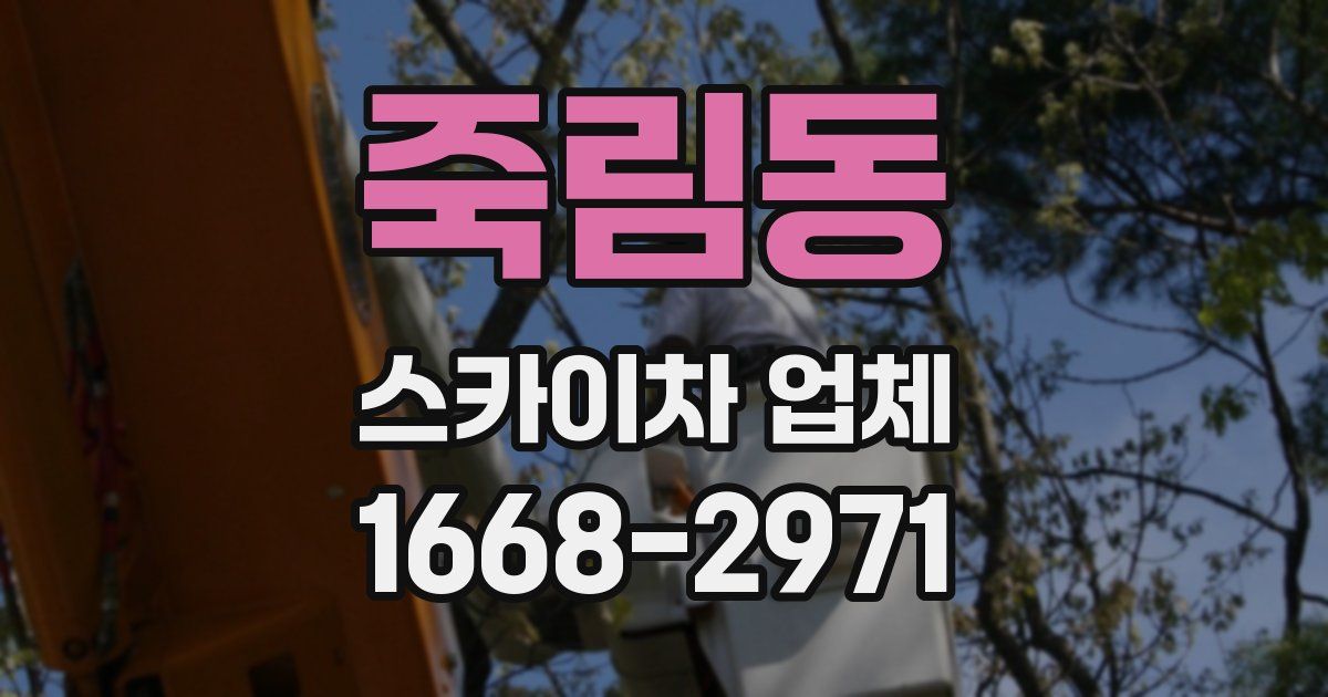 죽림동 스카이차 업체