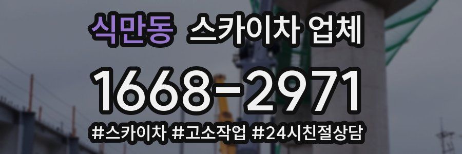식만동 스카이차 업체
