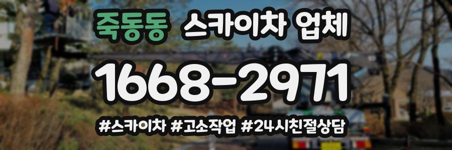 죽동동 스카이차 업체