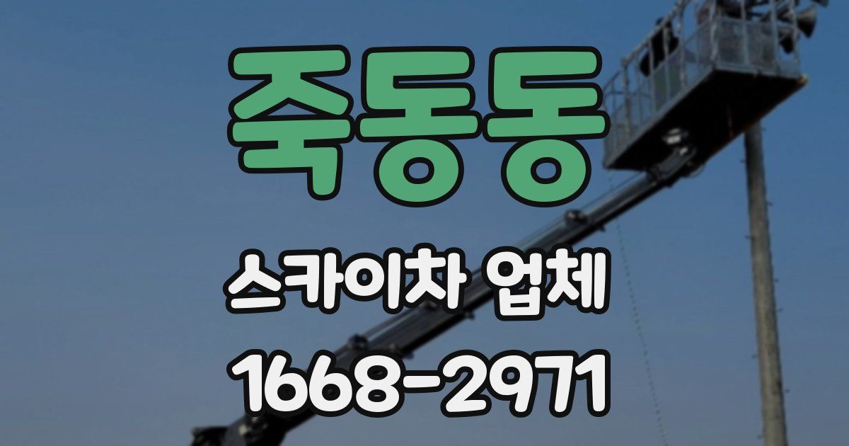 죽동동 스카이차 업체