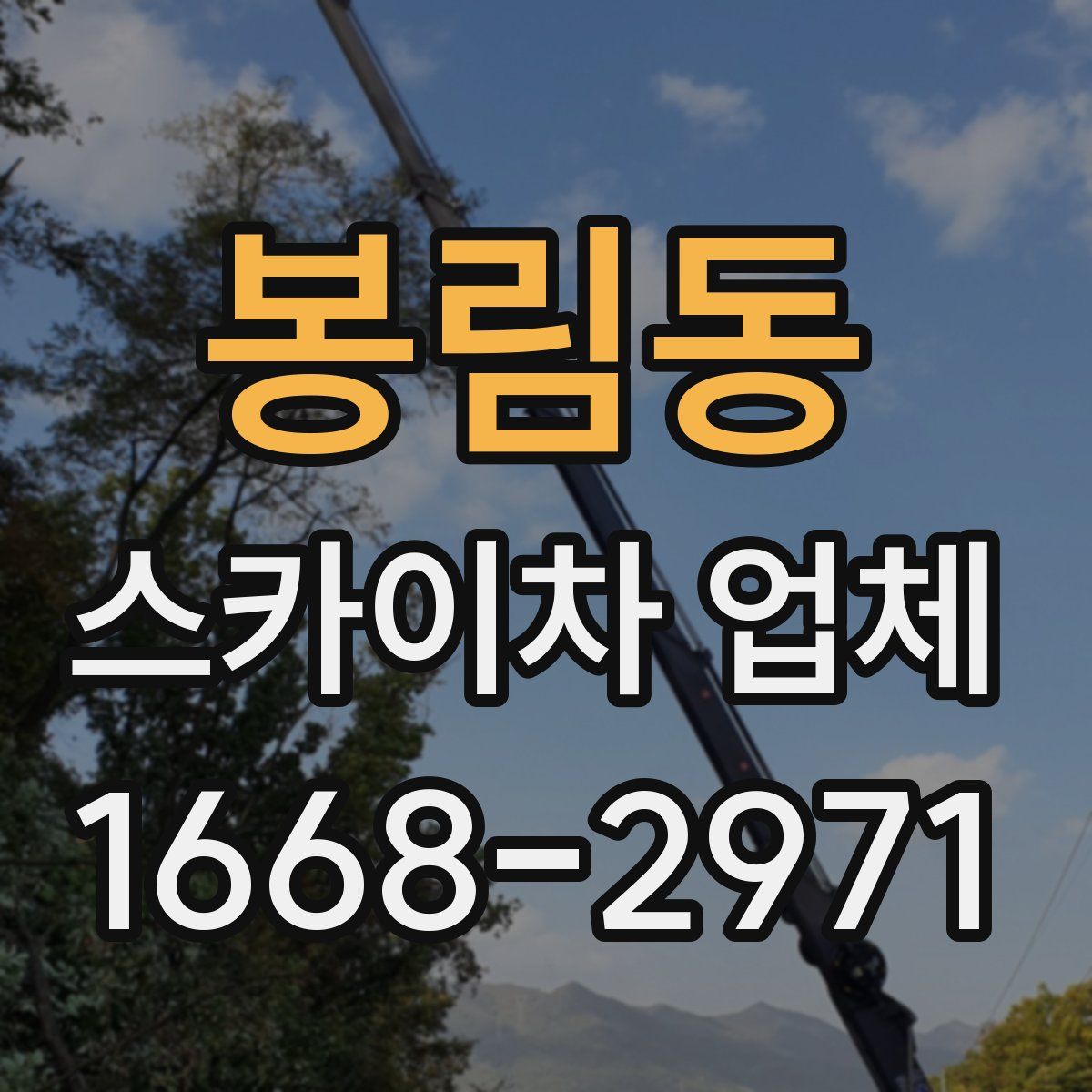 봉림동 스카이차 업체