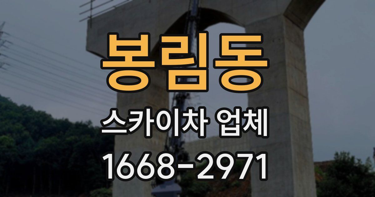 봉림동 스카이차 업체