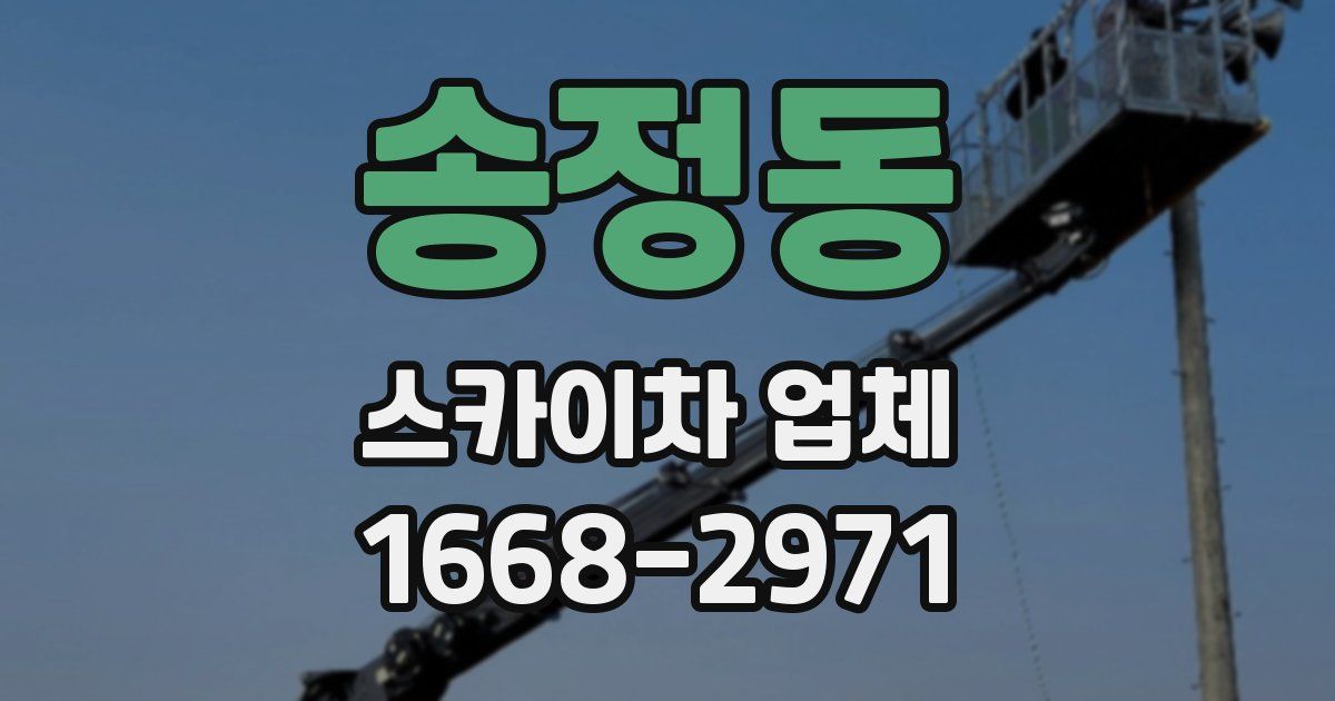 송정동 스카이차 업체