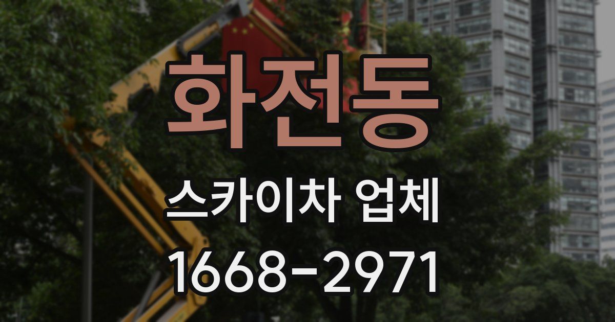 화전동 스카이차 업체