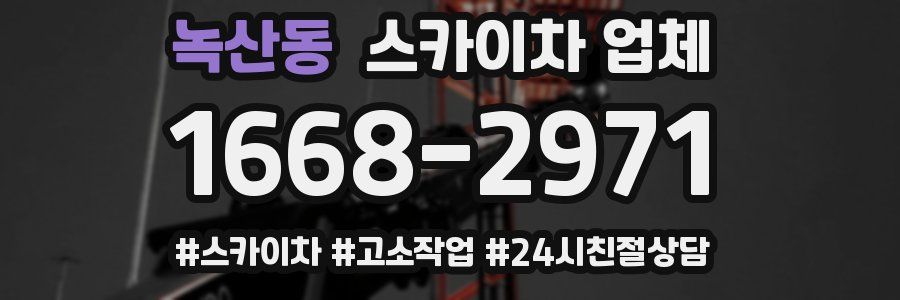 녹산동 스카이차 업체