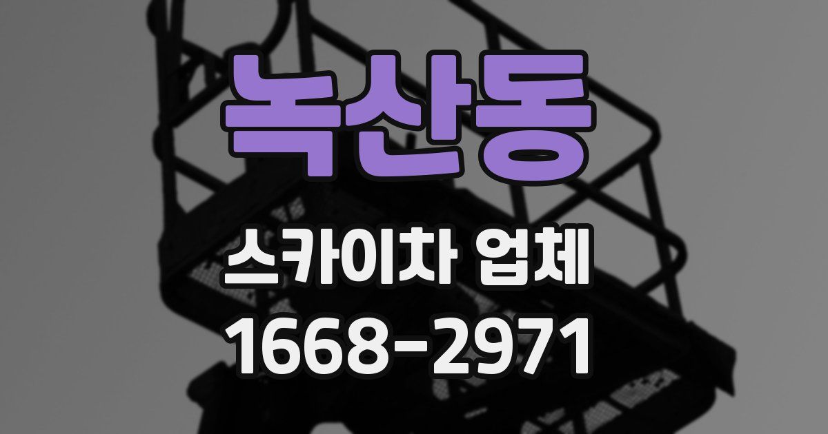 녹산동 스카이차 업체