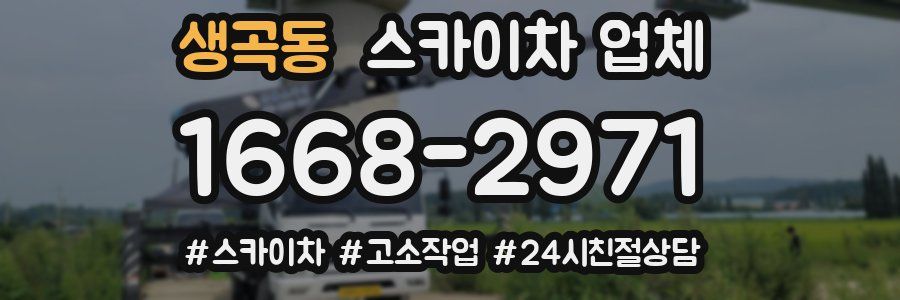 생곡동 스카이차 업체