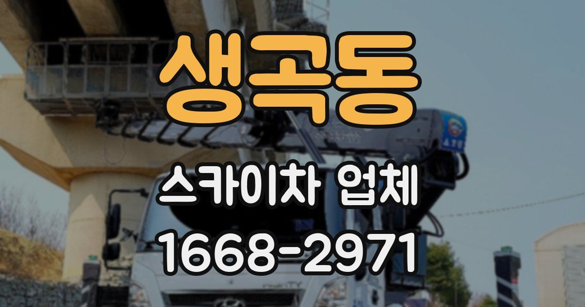 생곡동 스카이차 업체