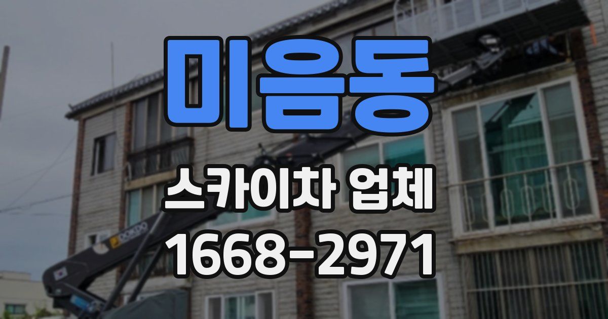 미음동 스카이차 업체