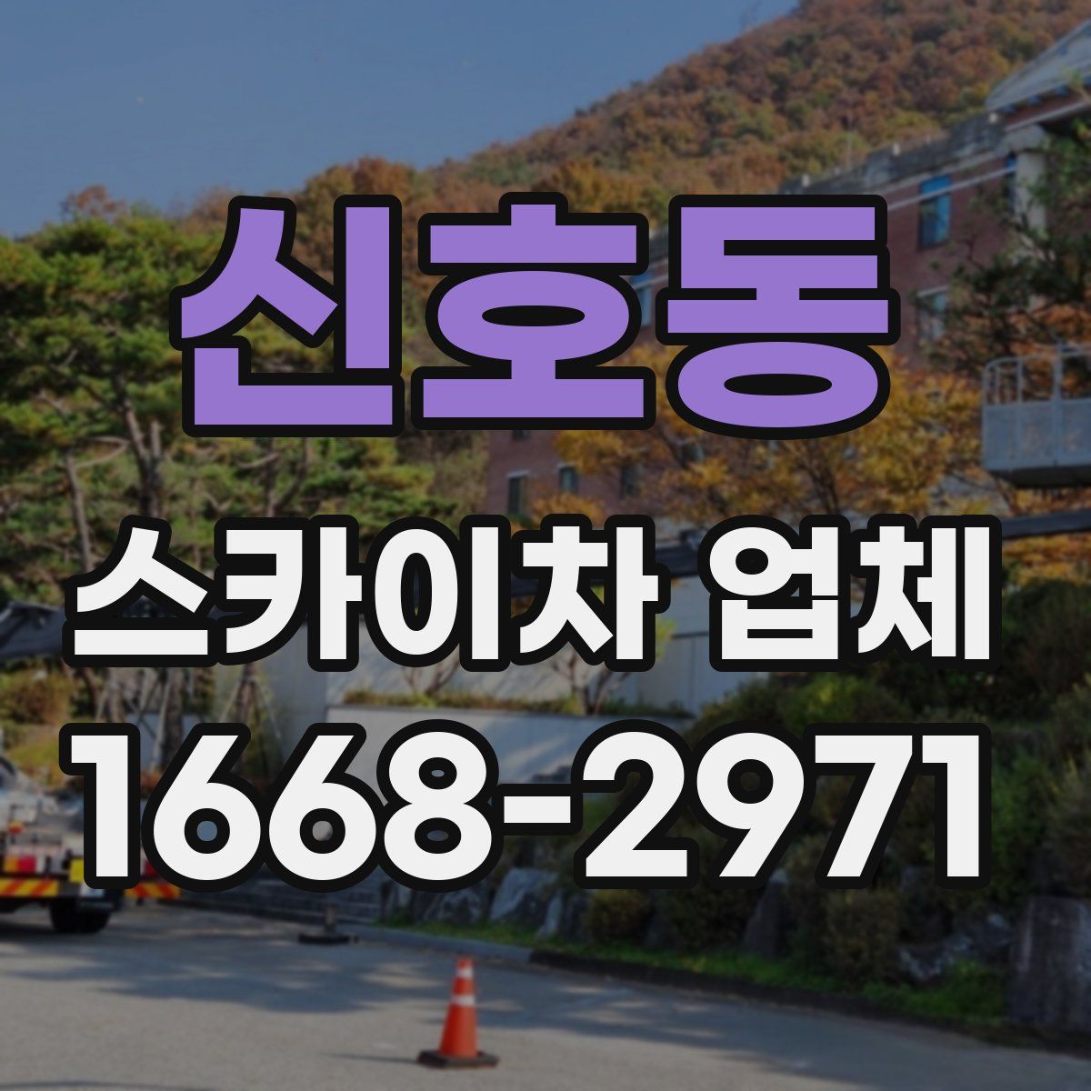 신호동 스카이차 업체