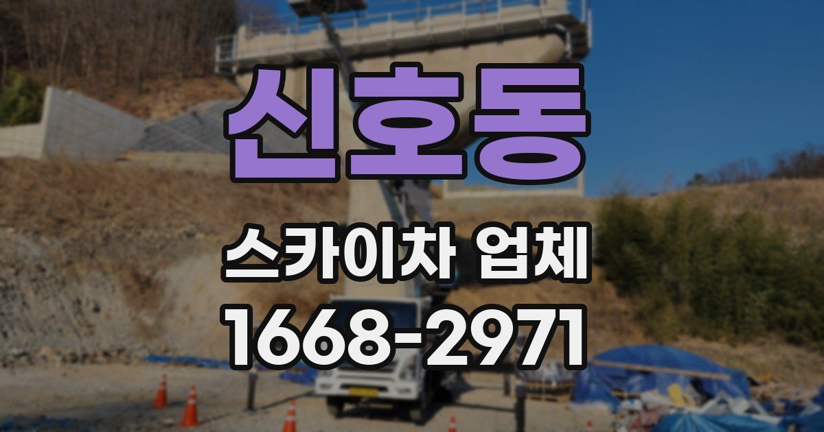 신호동 스카이차 업체