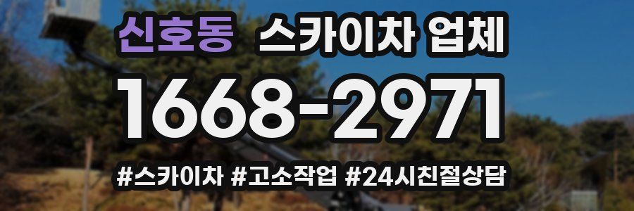 신호동 스카이차 업체
