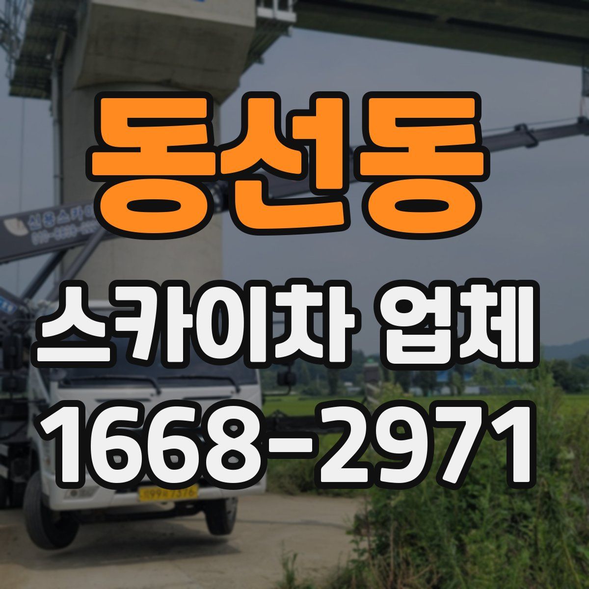 동선동 스카이차 업체