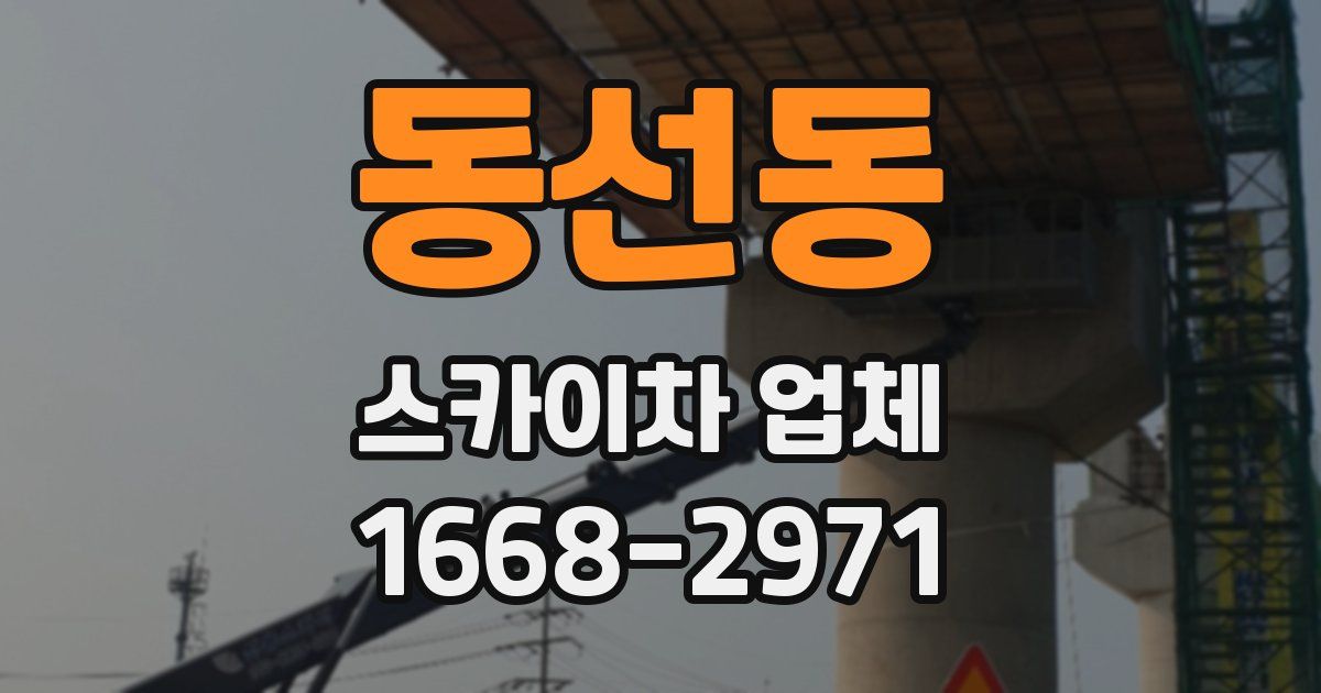 동선동 스카이차 업체