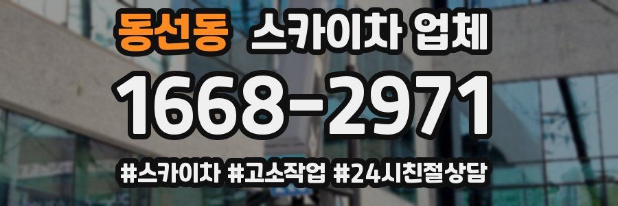 동선동 스카이차 업체